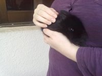 21032010207.jpg