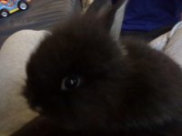 21042010491.jpg