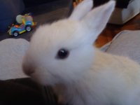21042010493.jpg