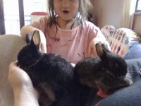 21042010486.jpg