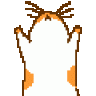 Exalted Shrimp