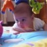 Graham
