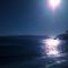 sea_greeny